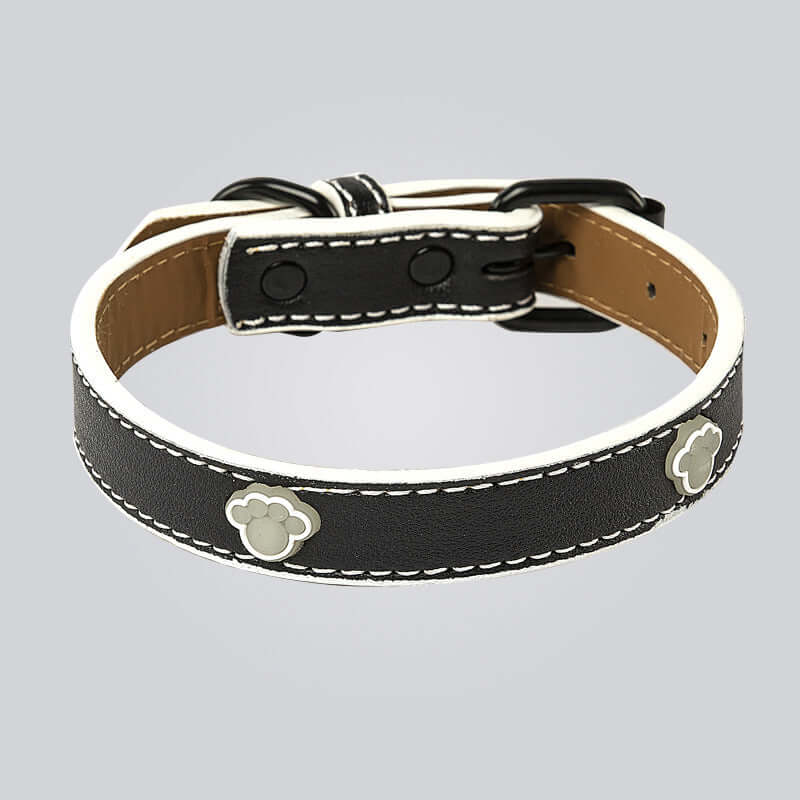 Cat Collar Adjustable and Luminous - Black / L - Cat collar