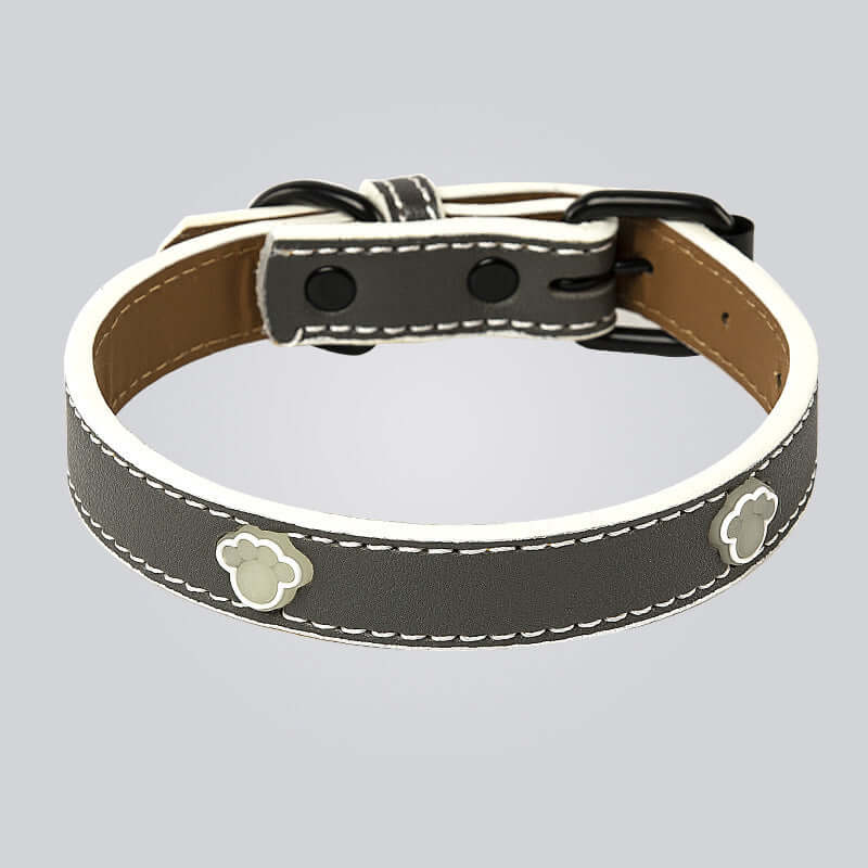 Cat Collar Adjustable and Luminous - Dark Grey / L - Cat collar