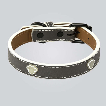 Cat Collar Adjustable and Luminous - Dark Grey / L - Cat collar