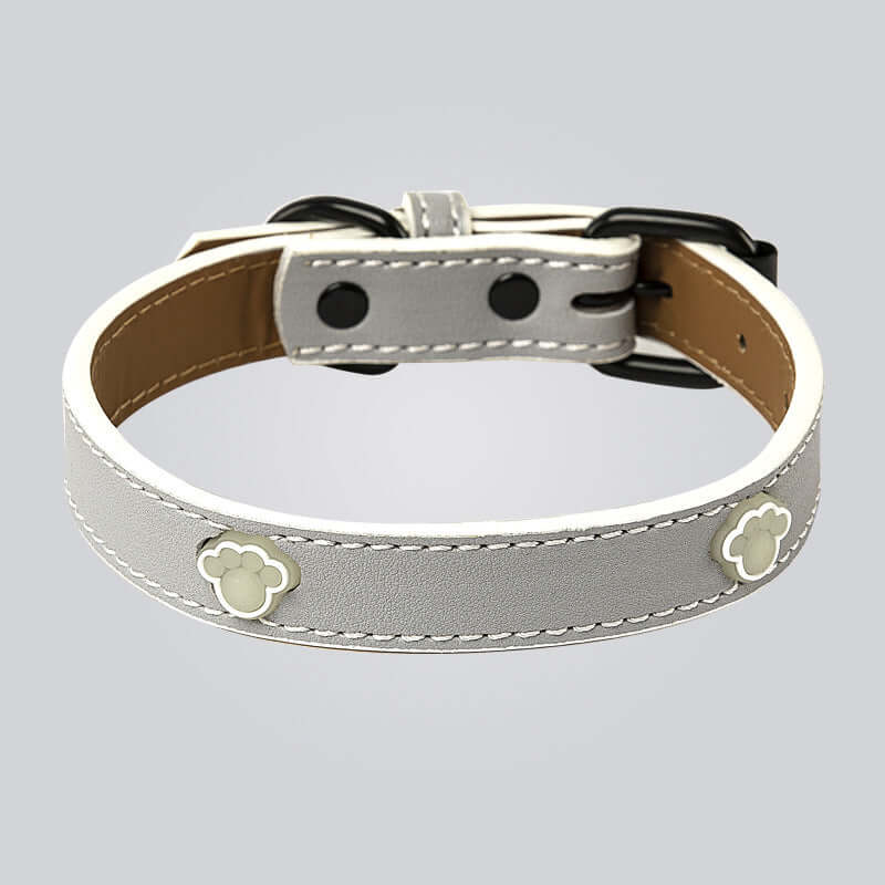 Cat Collar Adjustable and Luminous - Grey / L - Cat collar