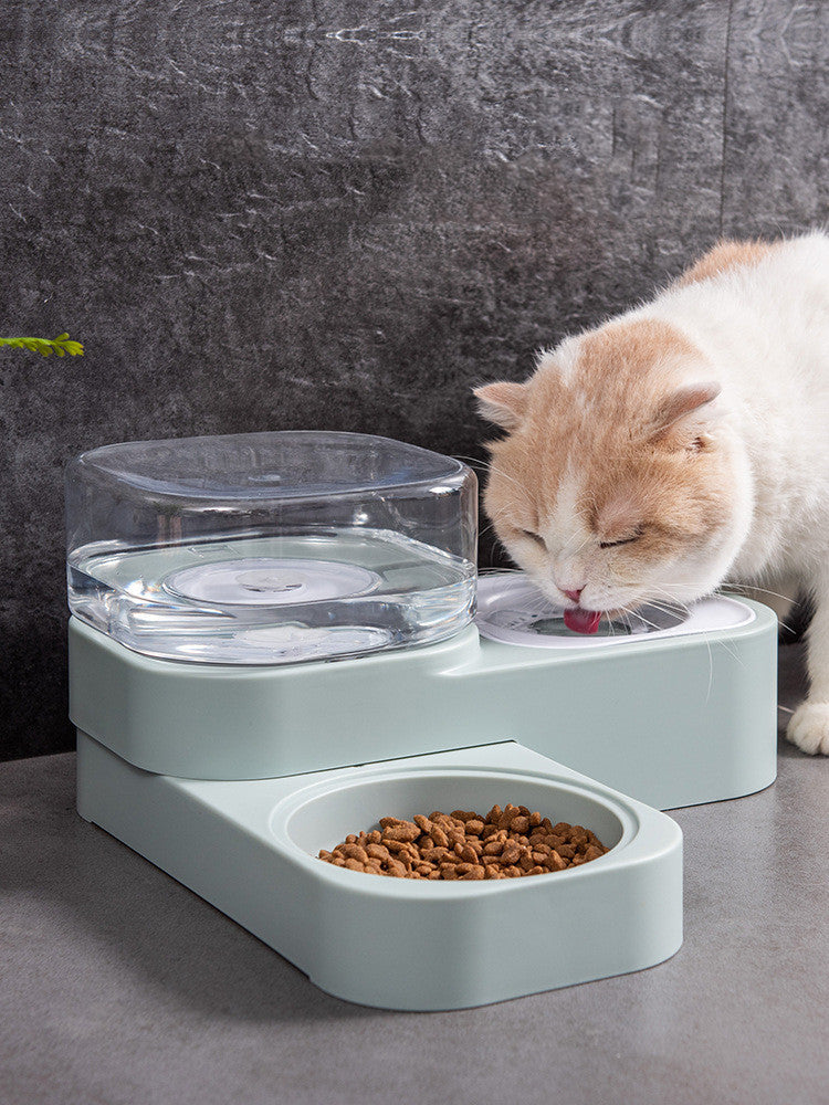 Cat Double Feeding Bowl - Cat Bowl