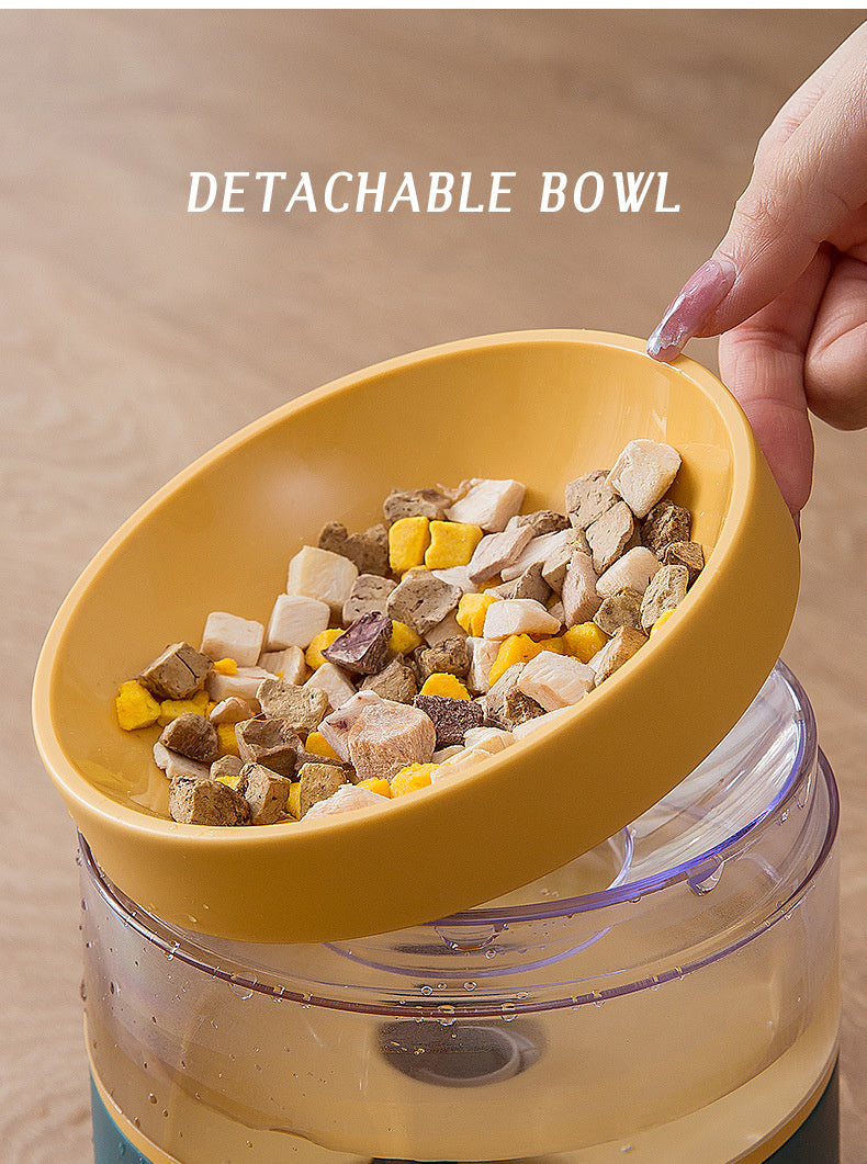 Cat Food and Water Bowl - Pet bowl