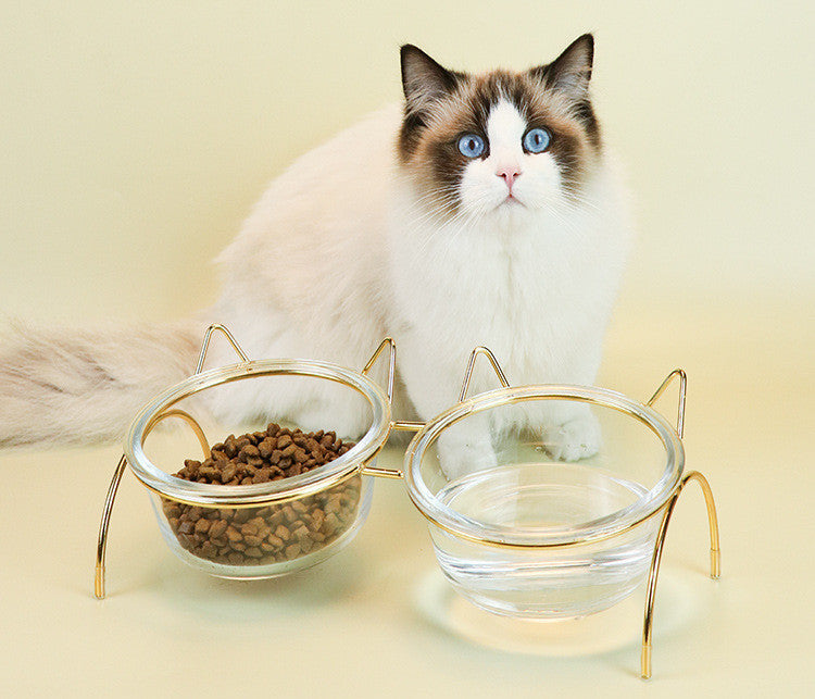Cat Glass Bowl - Cat Bowl