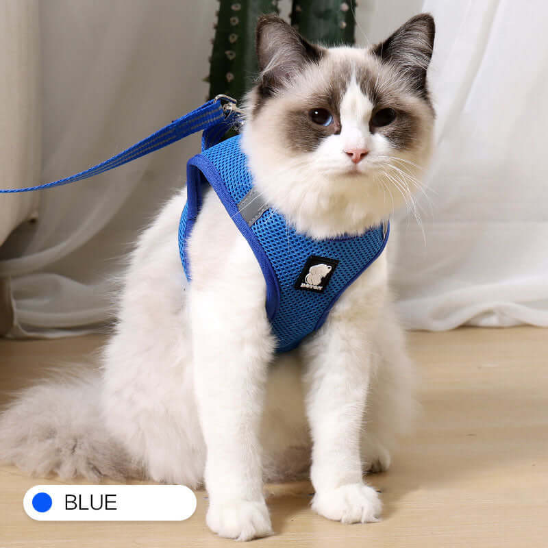 Cat Harness Anti-Strike - Blue / L - Cat collar