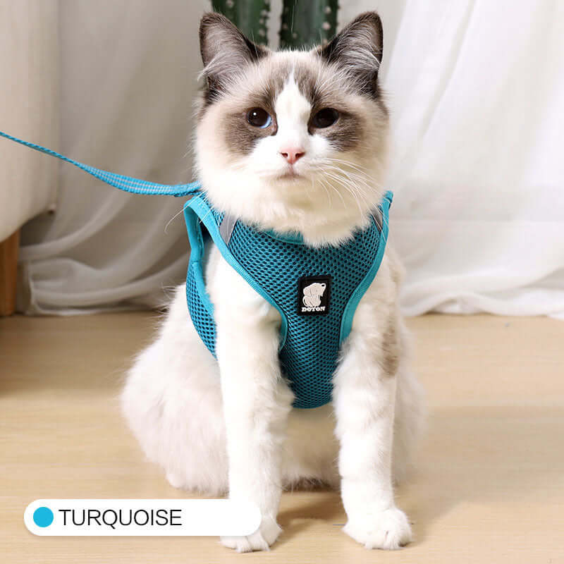 Cat Harness Anti-Strike - Cat collar