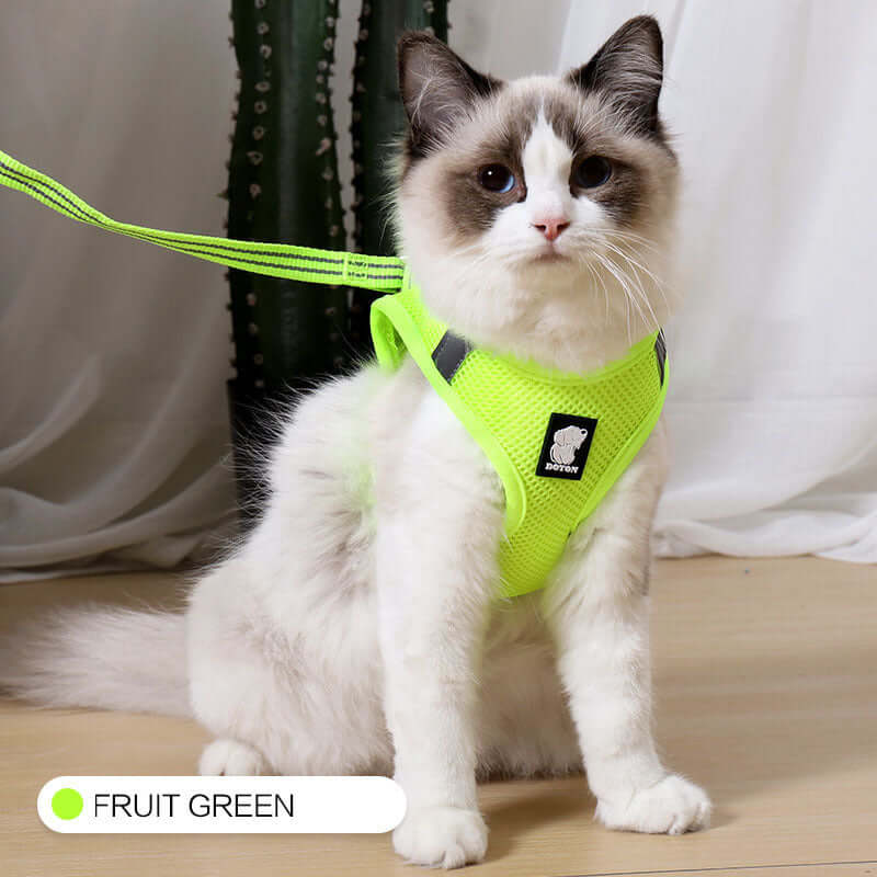 Cat Harness Anti-Strike - Fruit green / L - Cat collar
