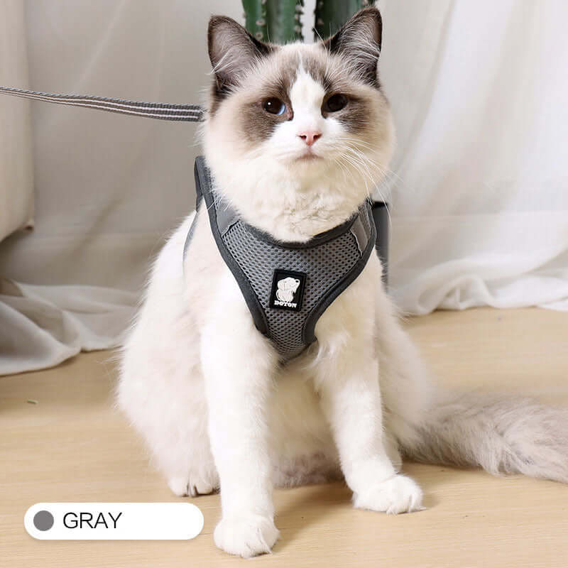 Cat Harness Anti-Strike - Grey / L - Cat collar