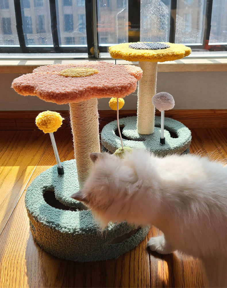 Cat Scratching Board - Cat Scratcher