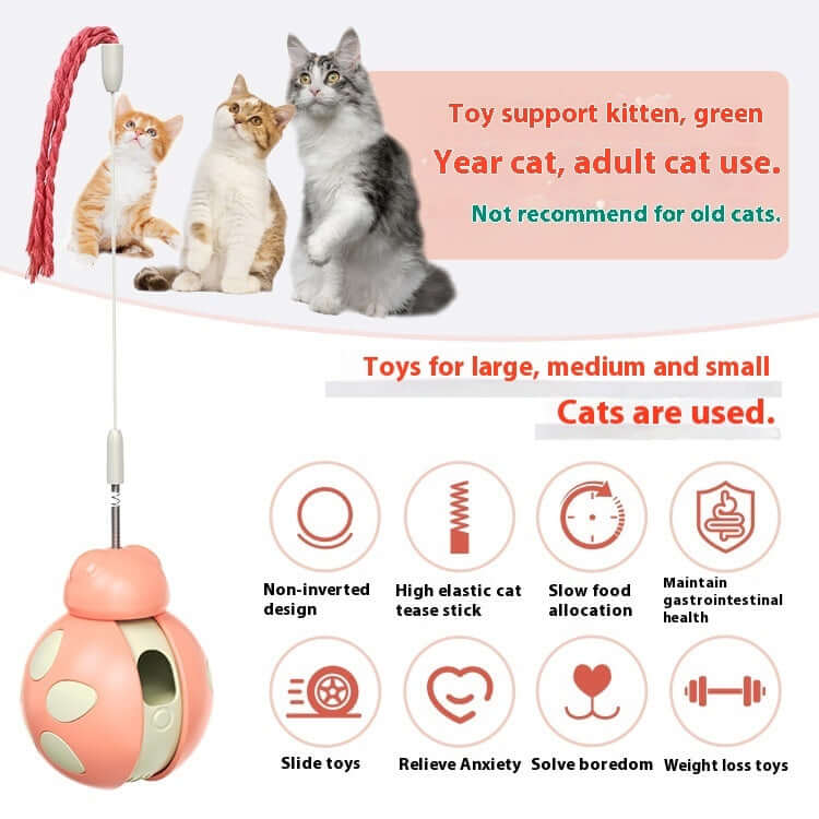 Cat Toy - Cat Toy