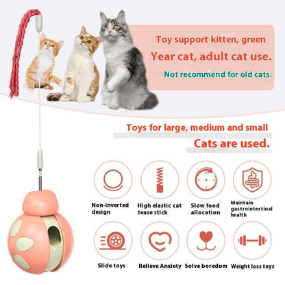 Cat Toy - Cat Toy