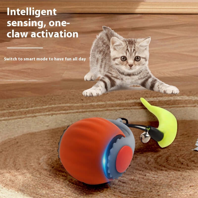 Cat Toy Ball Automatic - Cat Toy