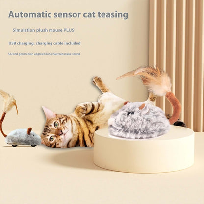 Cat Toy Electric Mouse - Cat Toy