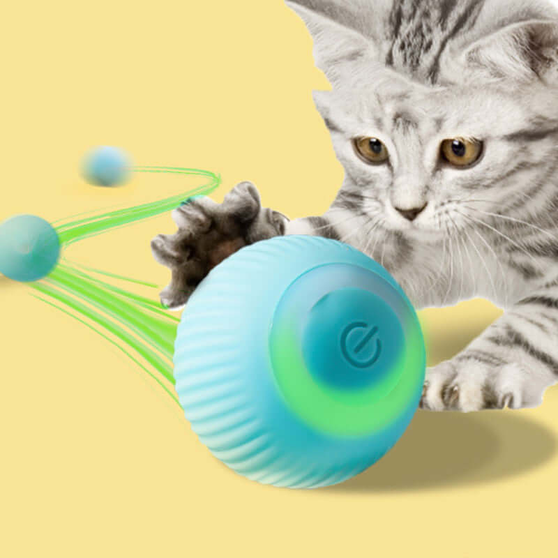 Cat Toy Electric Rolling Ball - Cat Toy