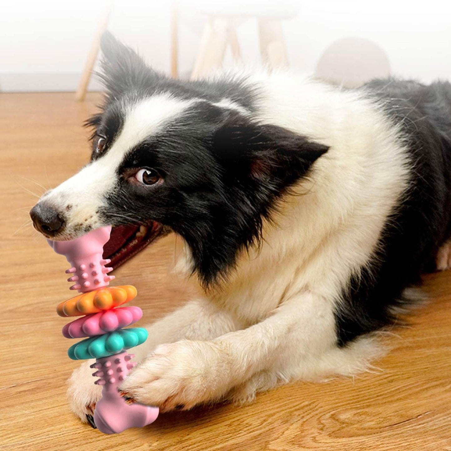 Dog Chew Toy