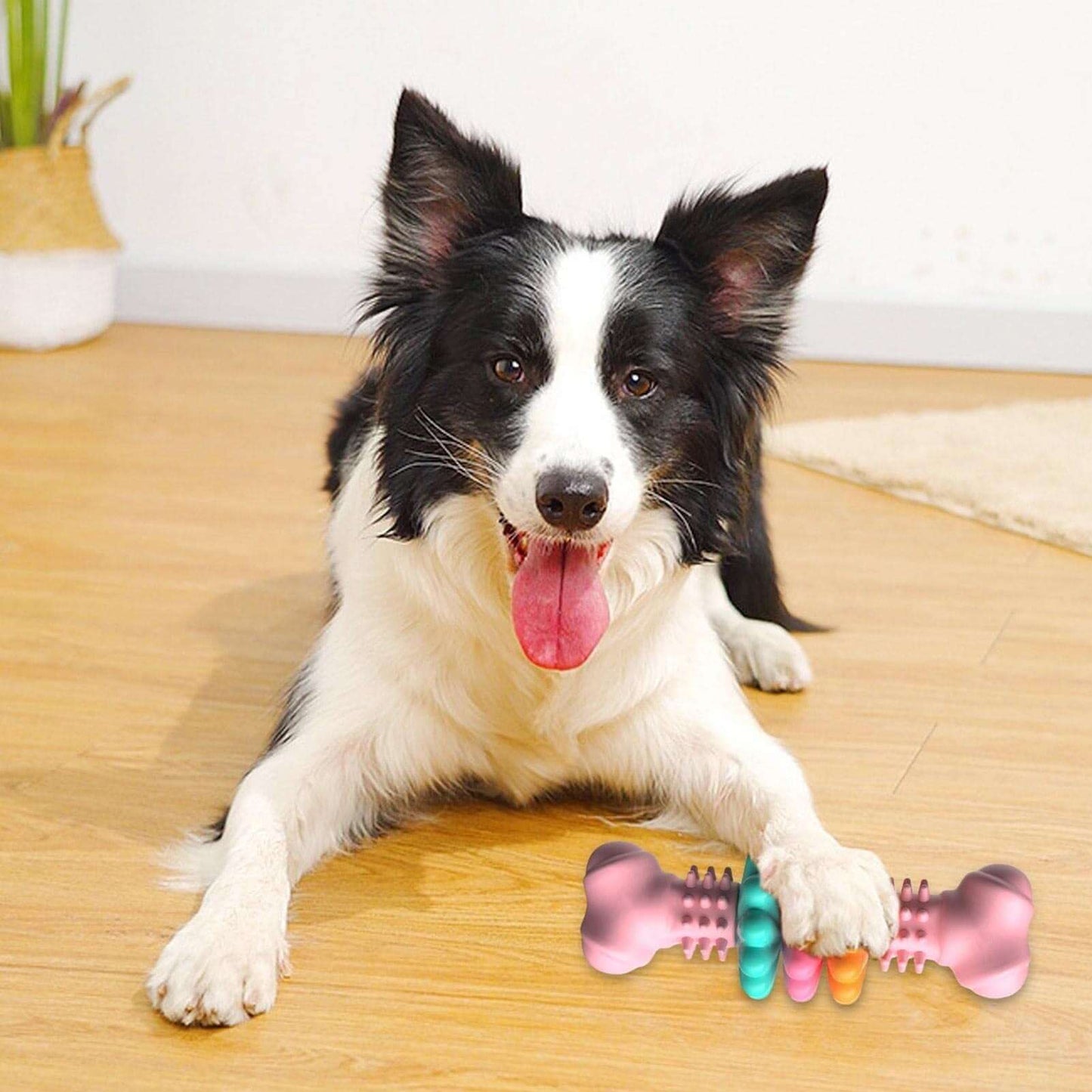 Dog Chew Toy - Dog toy