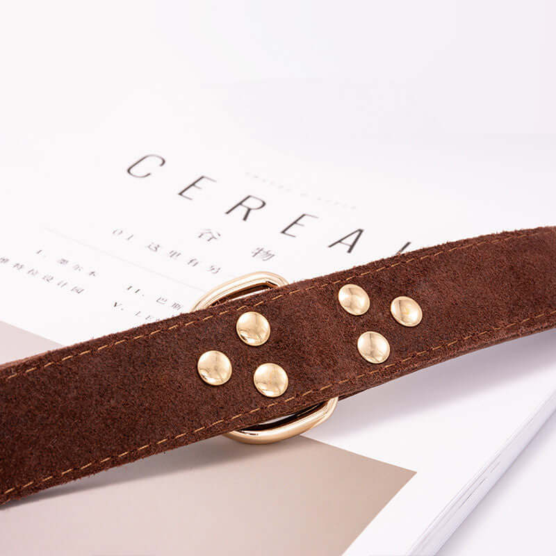 Dog collar - Dog collar