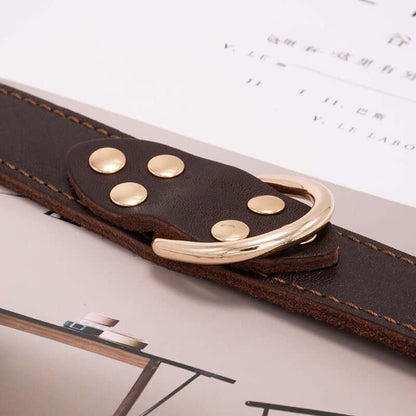 Dog collar - Dog collar