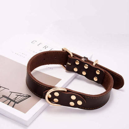 Dog collar - Dog collar