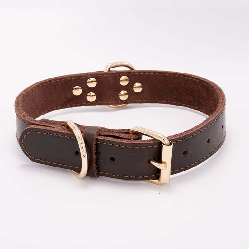 Dog collar - Brown / L - Dog collar