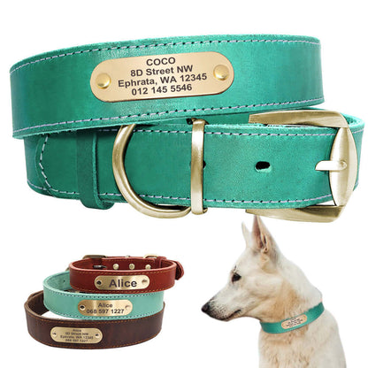 Dog Collar Personalized - Dog collar