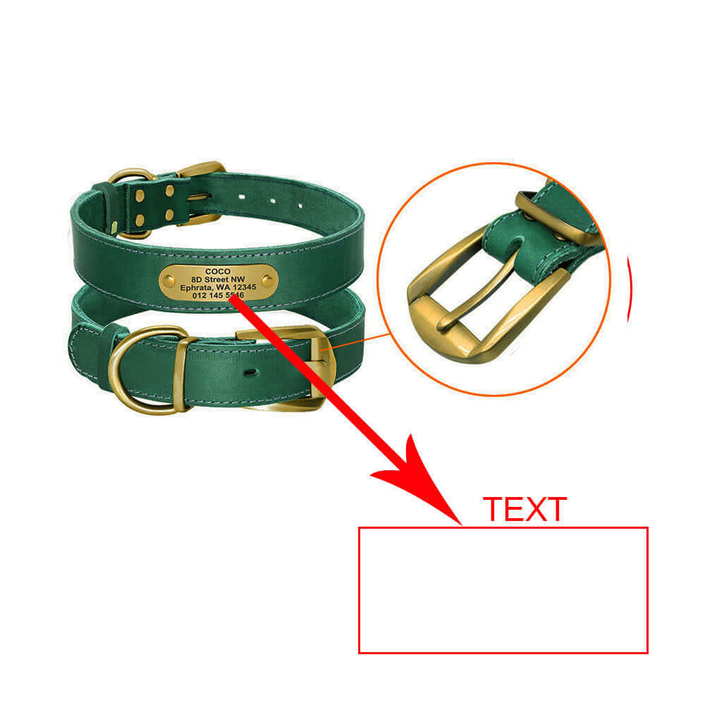 Dog Collar Personalized - Dog collar