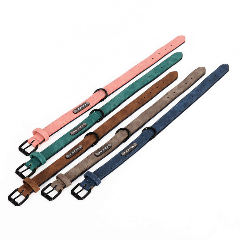 Dog collar x - Dog collar
