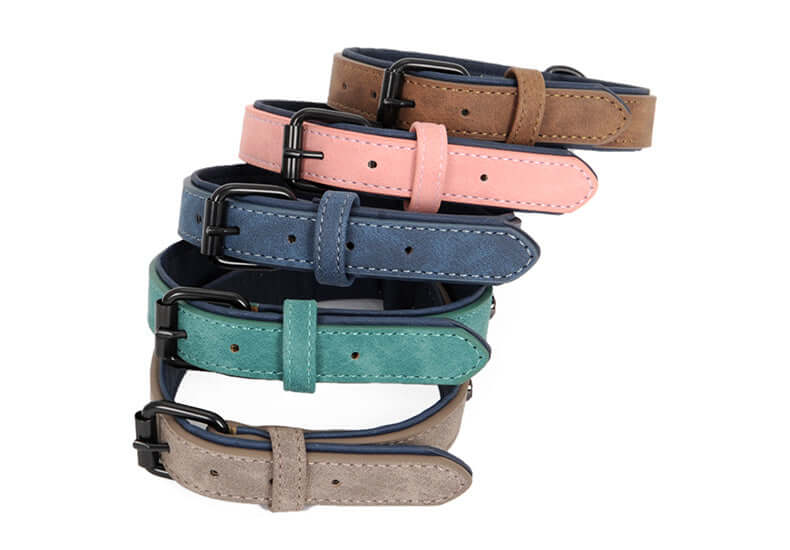 Dog collar x - Dog collar