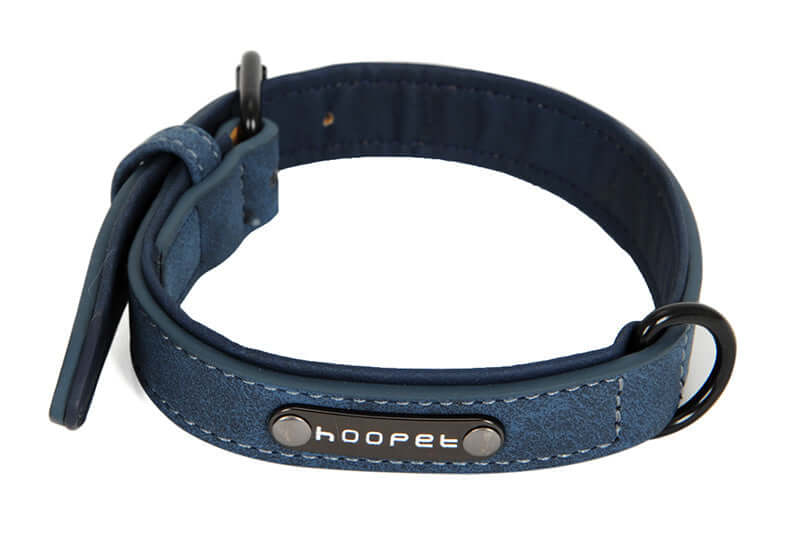 Dog collar x - Blue / L - Dog collar