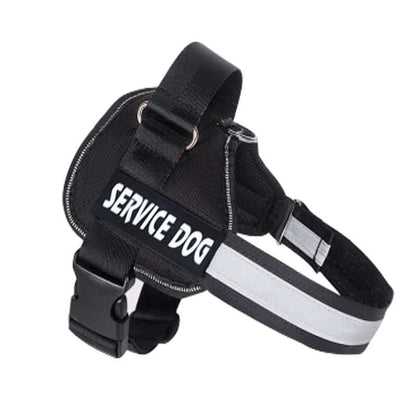 Dog harness leash for Labradors - Black / L - Dog leash