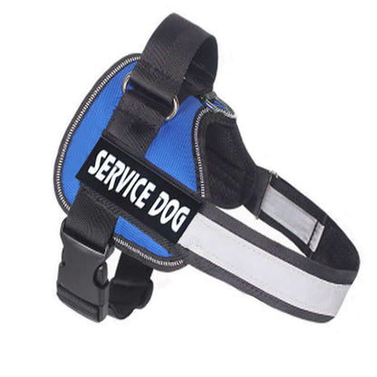 Dog harness leash for Labradors - Blue / L - Dog leash
