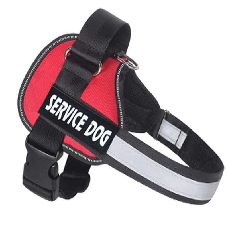 Dog harness leash for Labradors - Red / L - Dog leash