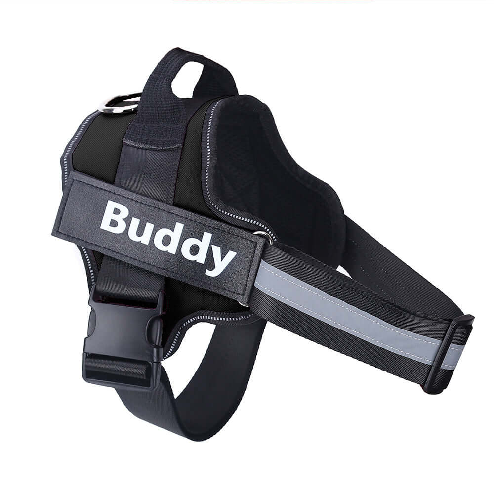 Dog Harness Personalized - Black / Baby1 - Dog leash