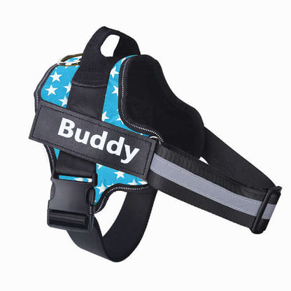 Dog Harness Personalized - Blue and stars / Baby1 - Dog leash