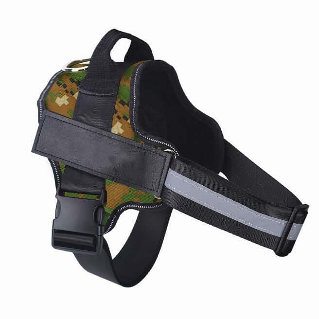 Dog Harness Personalized - Dog leash