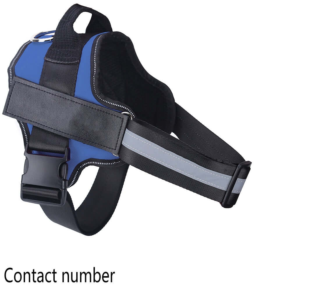 Dog Harness Personalized - Dog leash