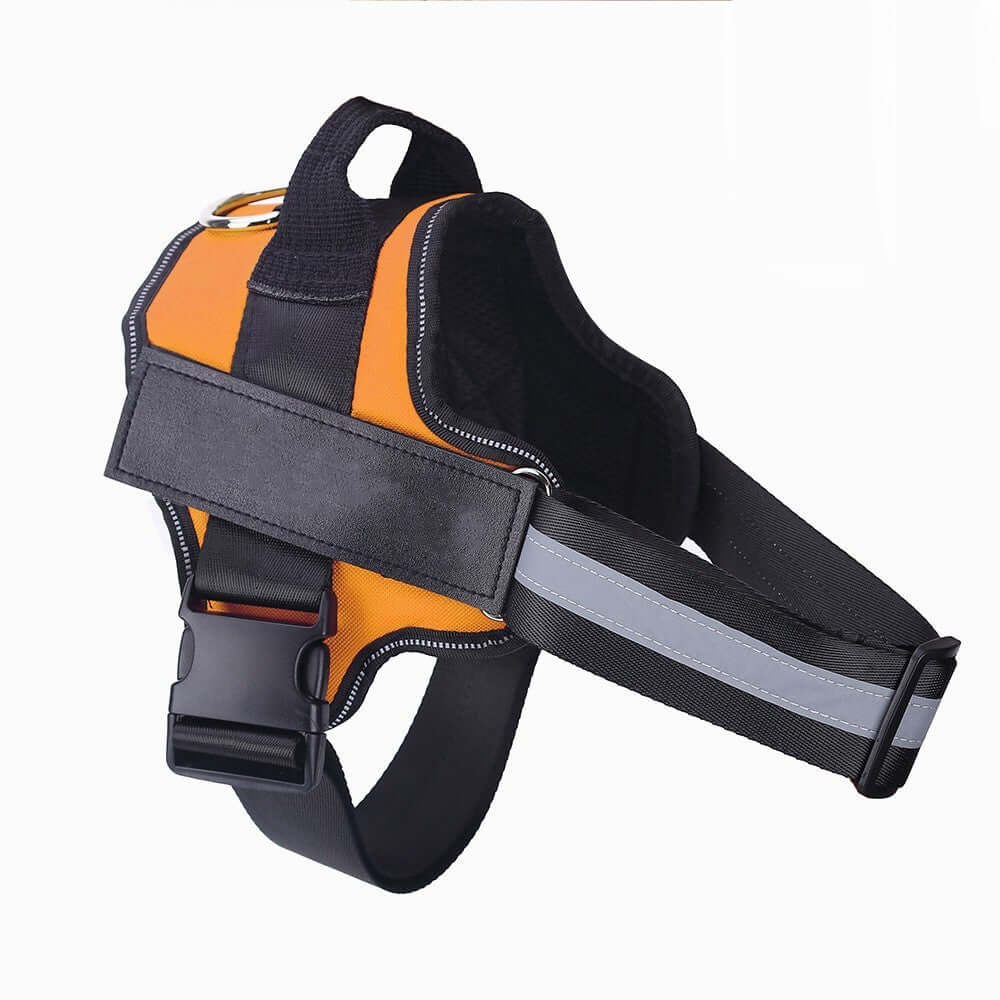 Dog Harness Personalized - Dog leash