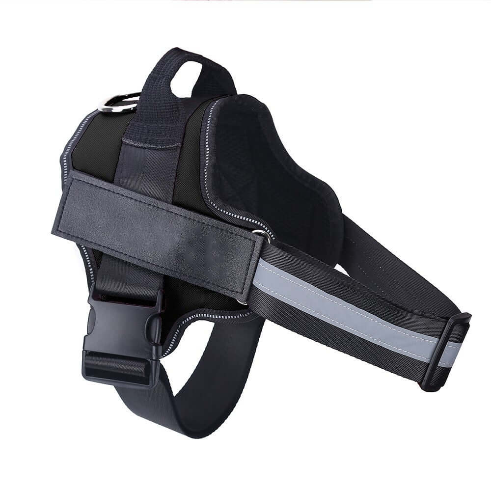 Dog Harness Personalized - Dog leash