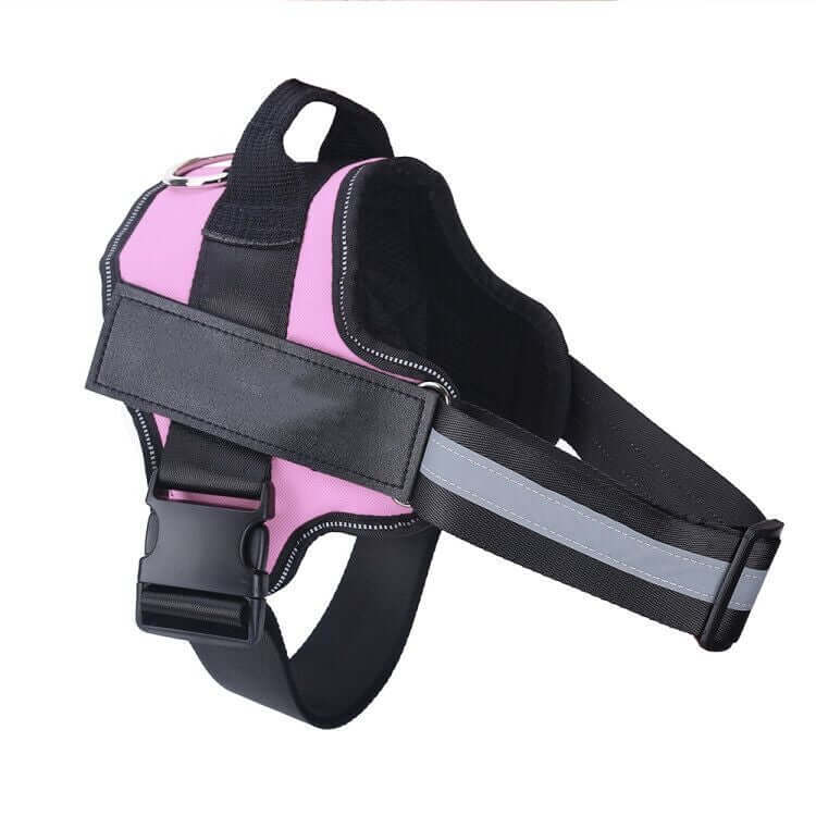 Dog Harness Personalized - Pink / Baby1 - Dog leash