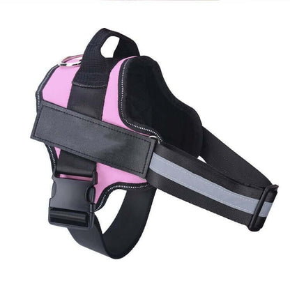 Dog Harness Personalized - Pink / Baby1 - Dog leash