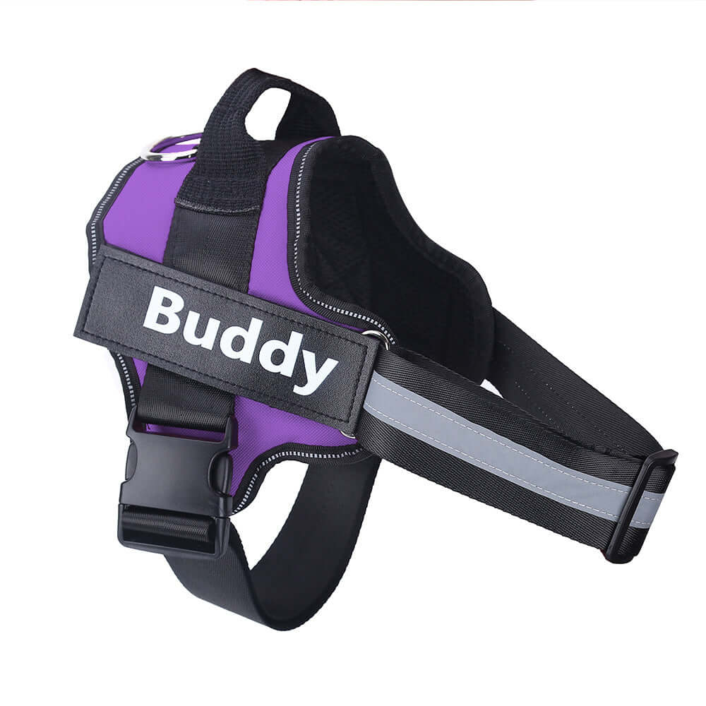 Dog Harness Personalized - Purple / Baby1 - Dog leash