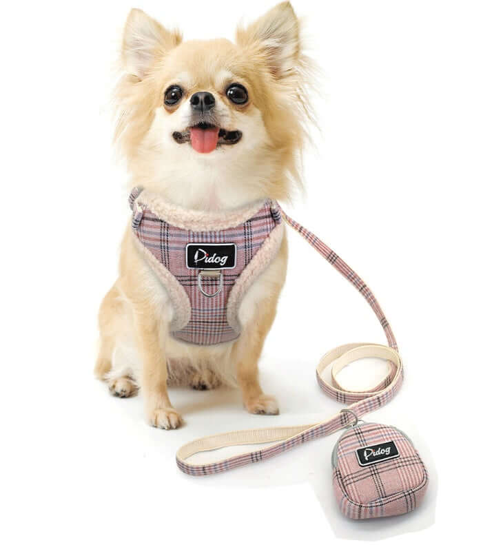 Dog Leash - Dog leash