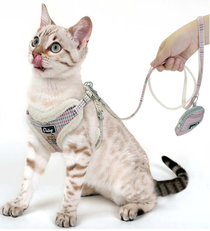 Dog Leash - Dog leash