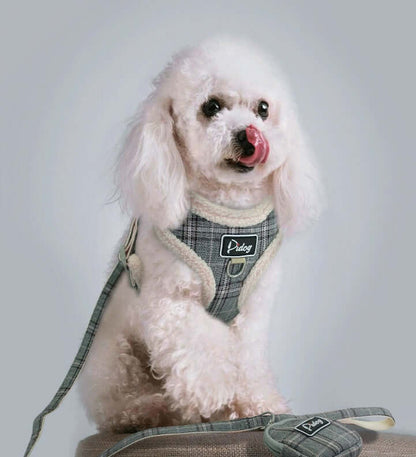 Dog Leash - Dog leash
