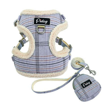 Dog Leash - Blue / M - Dog leash