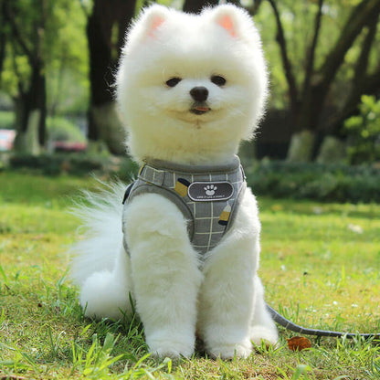 Dog Leash with Reflective Strips - Dog leash