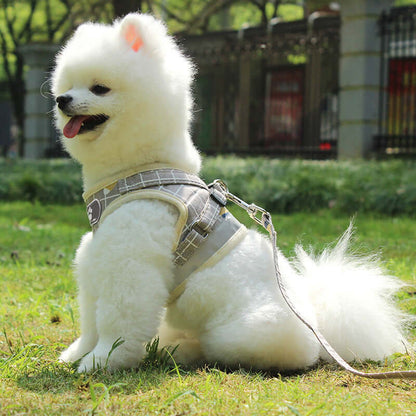 Dog Leash with Reflective Strips - Dog leash