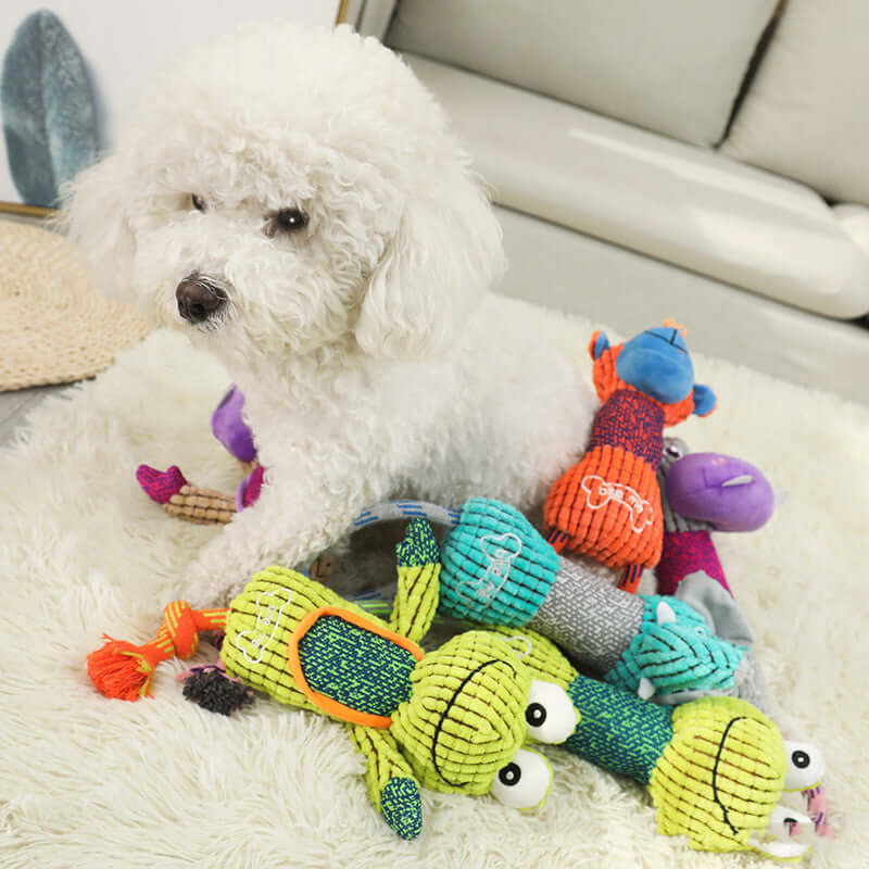 Dog Toy Cotton Rope - Dog toy