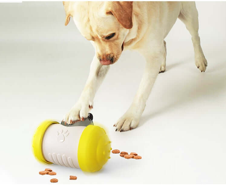 Dog Treat Leaking Toy - Dog toy