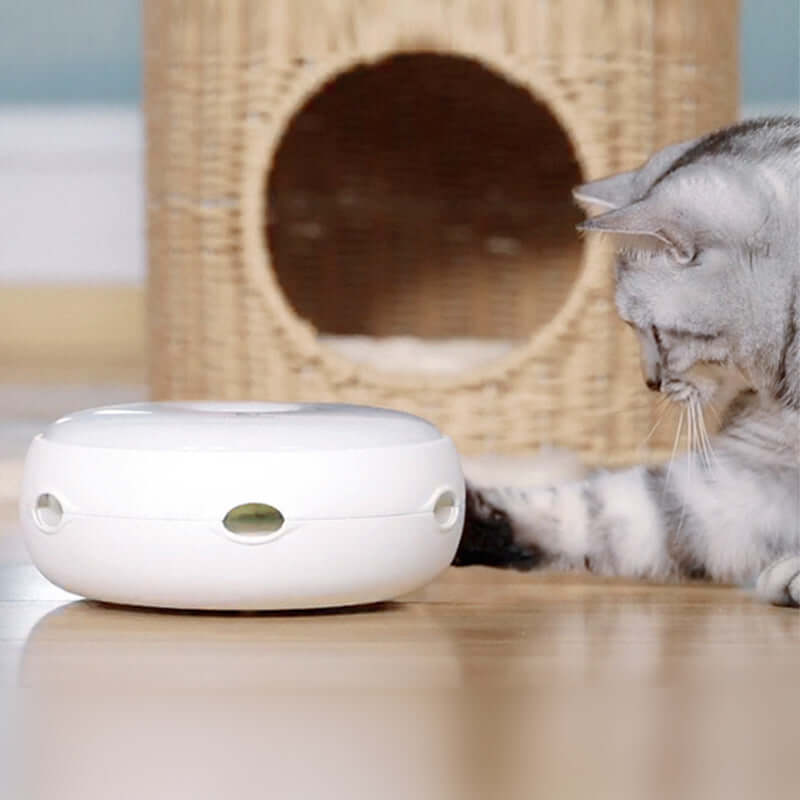 Electric Cat Toy - Cat Toy