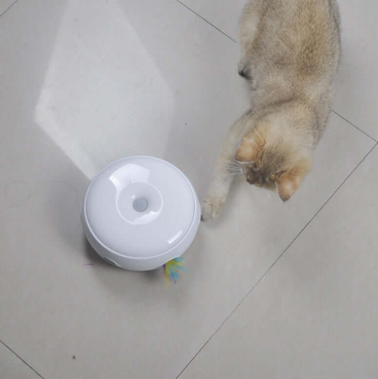 Electric Cat Toy - Cat Toy